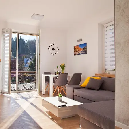 Appartement Center Platinum Krynica Zdroj